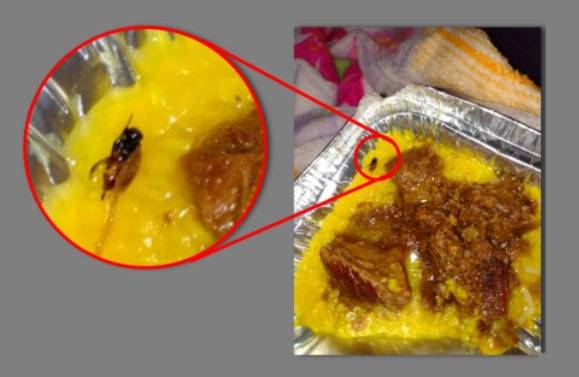 Em nota, prefeitura rebate mulher que fotografou mosca em marmita e fez denúncias contra o Hospital Regional de Vilhena