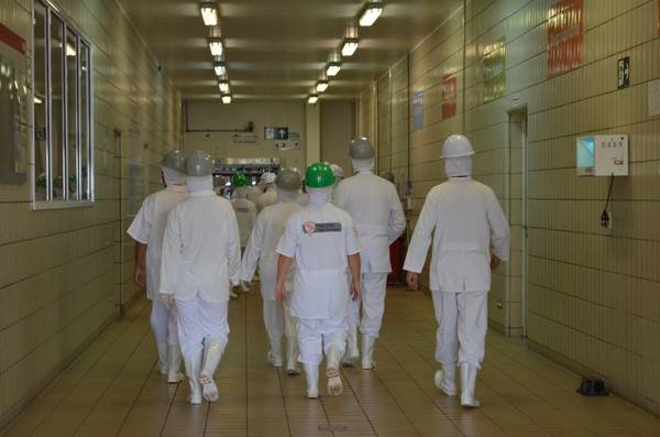 Friboi tem programa para trainees em GO, MT e RO, com uma das vagas em Vilhena; saiba como se inscrever