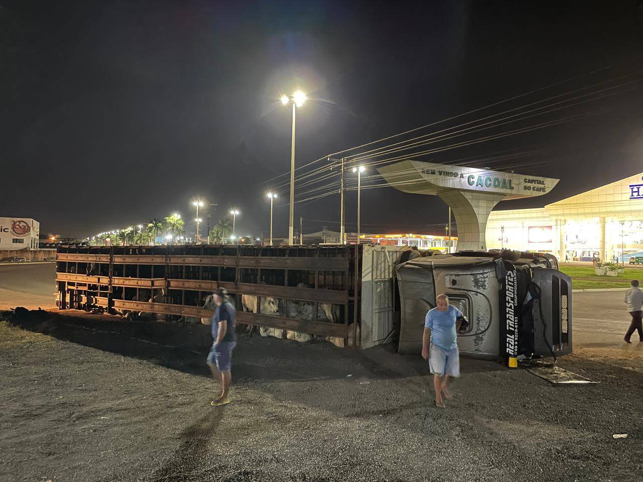 Dirigida por motorista de Chupinguaia, carreta carregada de bezerros tomba na BR 364, em Cacoal