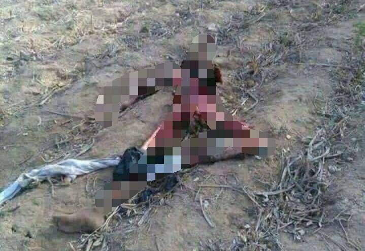 OUÇA: acompanhada de áudio, foto de adolescente supostamente morto por onças em Rondônia viraliza; polícia diz que é “fake News”