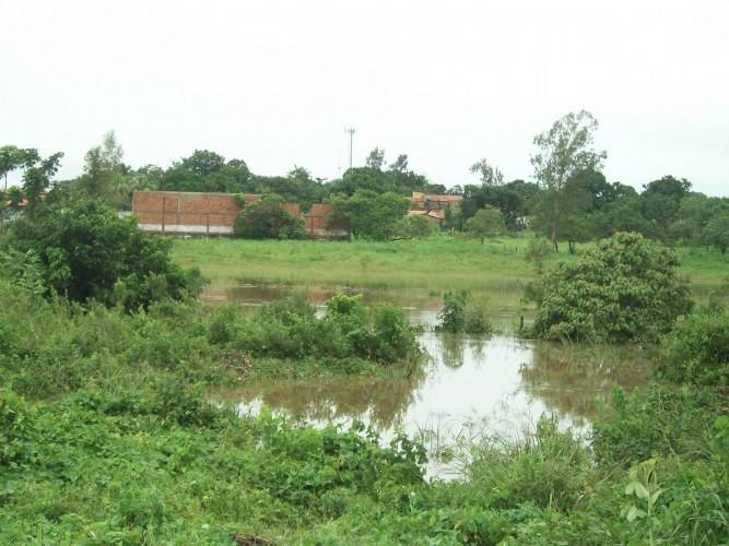 Projeto ambiental da Polícia Federal no Pires de Sá está tomado pelo mato