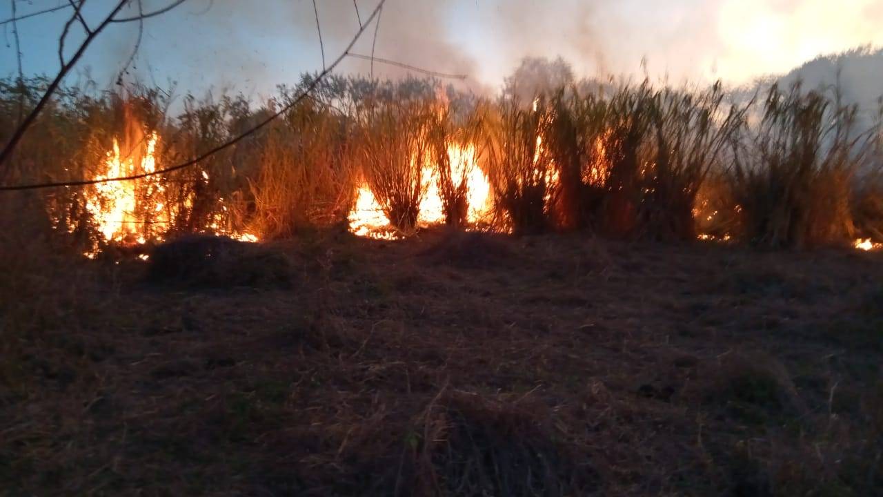 Menos de uma semana após vídeo-denúncia viralizar, incêndio atinge Parque de Exposições e mobiliza Corpo de Bombeiros