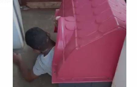 Viraliza no WhatsApp vídeo que mostra homem embriagado flagrado pela polícia dormindo em casinha de cachorro, em Vilhena