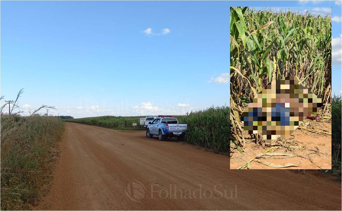 URGENTE: corpo masculino já entrando em decomposição é encontrado em lavoura de milho nos arredores de Vilhena
