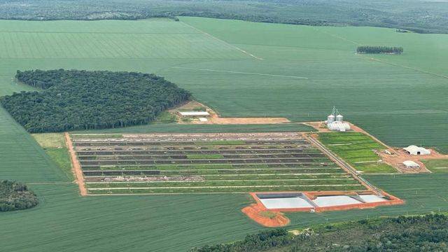 BOITEL: em Vilhena, confinamento para “dar acabamento” a animais pode dar “terminação” em até 40 mil cabeças de gado por ano