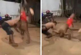 ASSISTA: vídeo viral mostra habilidade de homem enfrentando oponente maior e mais pesado em “UFC de buteco” em Cacoal