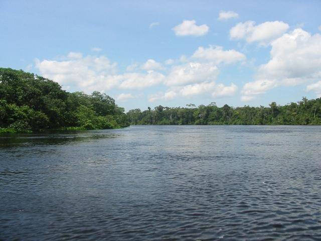 Pesca é liberada, mas peixes ficam menores e mais arredios no Cone Sul