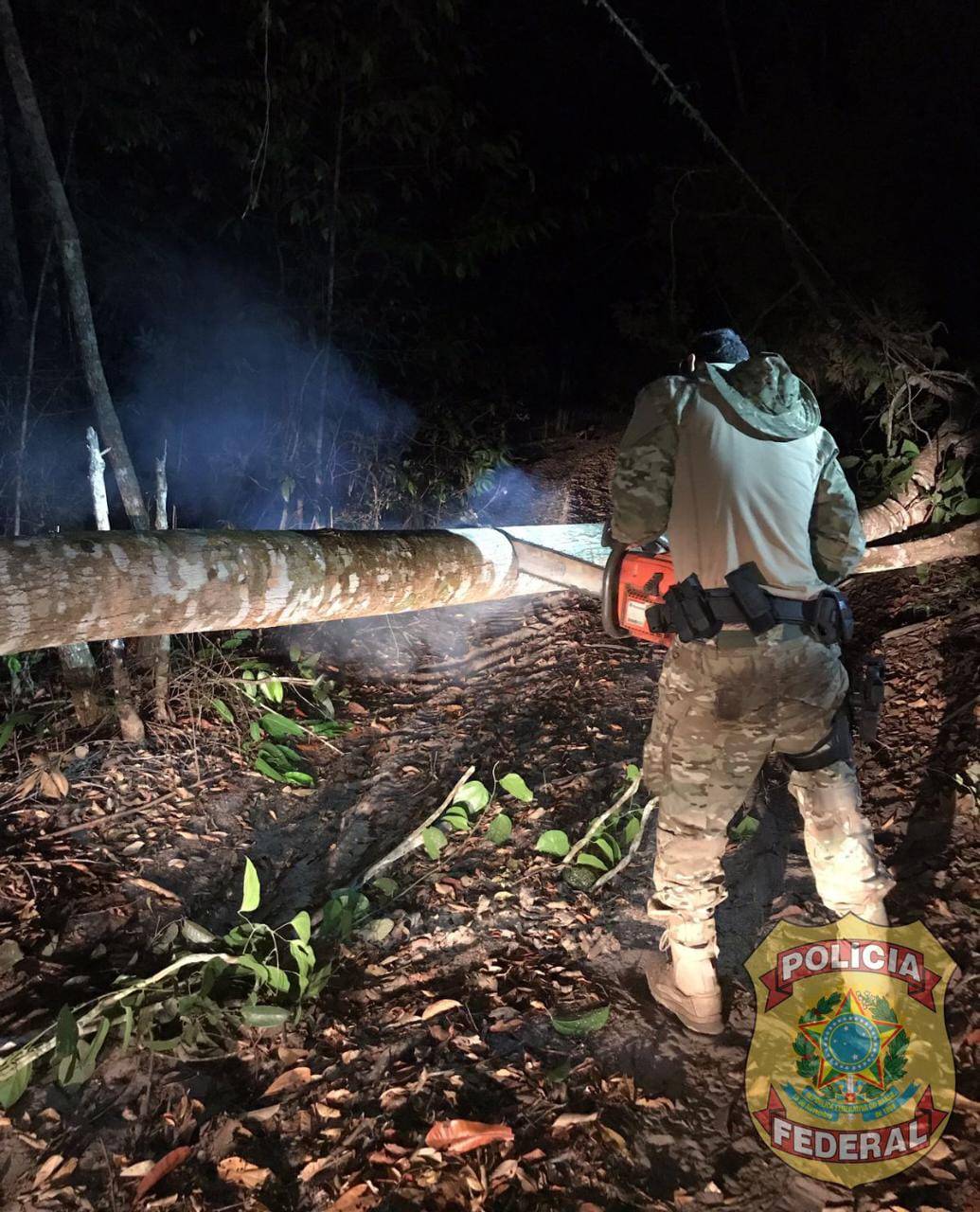 Polícia Federal realiza ação na Terra Indígena Tubarão Latundê e promove inutilização de equipamentos para extração ilícita de madeira