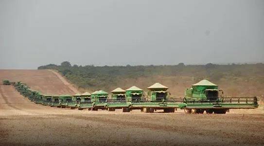 Gigante do agro ganha aval de órgão fiscalizador para criar empresa bilionária e cultivar terras no Sul de Rondônia