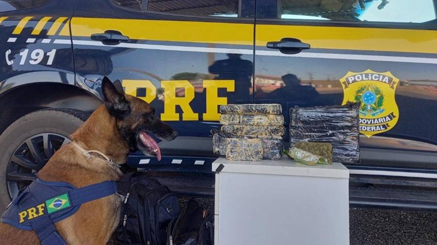 Garota de 23 anos é presa pela PRF em rodovia de Mato Grosso trazendo 10 kg de maconha para Vilhena