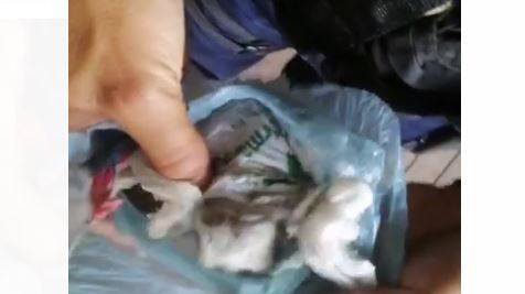 Flagrado vendendo maconha para caminhoneiro em Vilhena, homem diz que atuava no tráfico por “estar desempregado”
