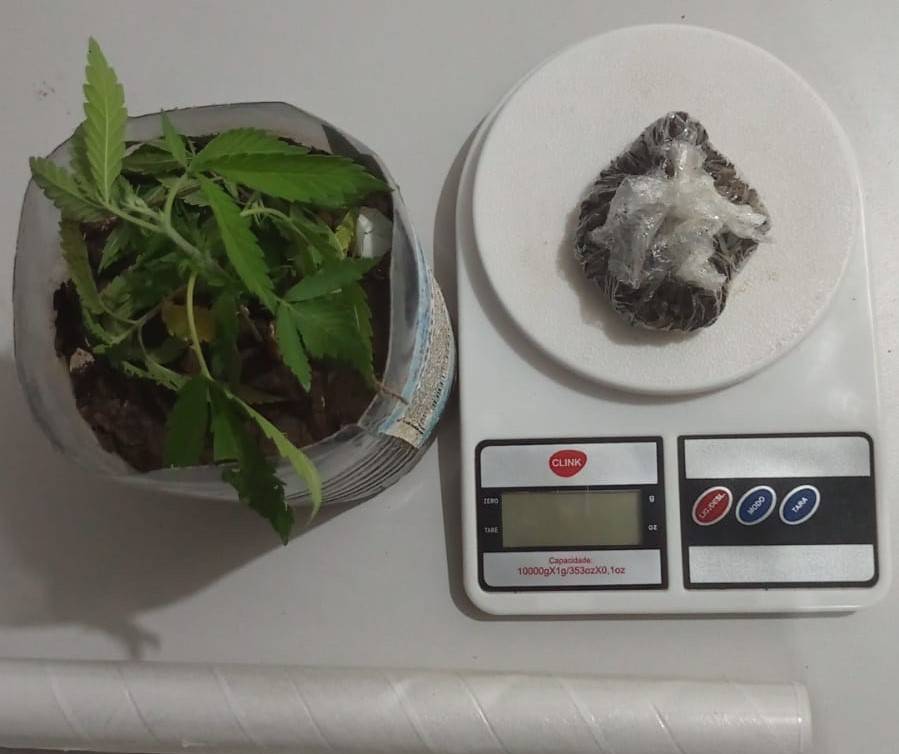 Em Vilhena, garota é espancada após arrancar pés de maconha plantados no quintal pelo agressor