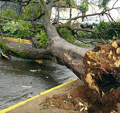 Mini-tornado destrói casas, derruba muros e arranca árvores em Vilhena