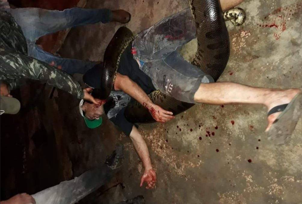 Viraliza no Cone Sul fake news divulgando que morador de Cabixi teria sido morto por sucuri no rio Guaporé