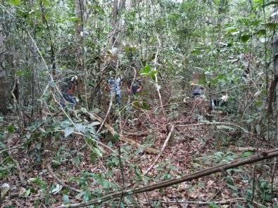 Trabalhador de 51 anos sofre corte no pescoço e sangra até morrer dentro de mata em cidade de MT