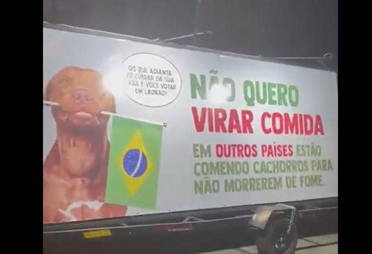 ASSISTA: viraliza nas redes sociais vídeo em que morador de Cacoal critica suposta propaganda política que usa cachorro