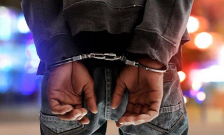 Flagrado dentro de casa arrombada, ladrão é acuado por pitt bull, ataca policial militar com cavadeira e acaba preso