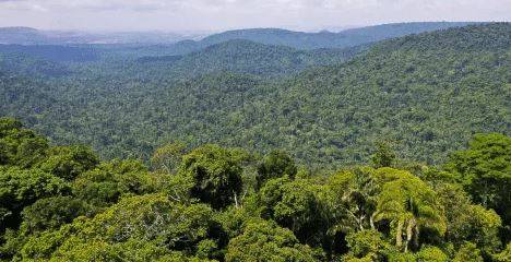 STF manda Funai preservar terra do “Índio do Buraco” que é cobiçada por fazendeiros no Sul de Rondônia