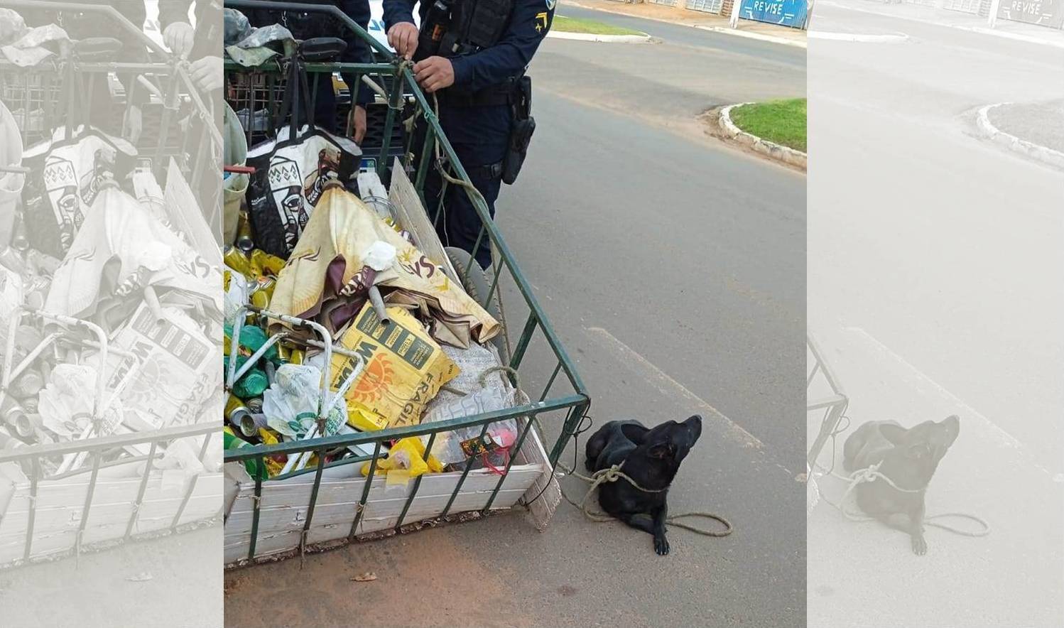 Pai e filho são atacados por cachorro no Jardim das Oliveiras; o cão seria de um homem que recolhe recicláveis, em Vilhena