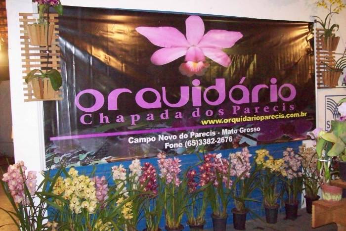 ORQUIDÁRIO EXPÕE 400 ESPÉCIES NA EXPOVIL