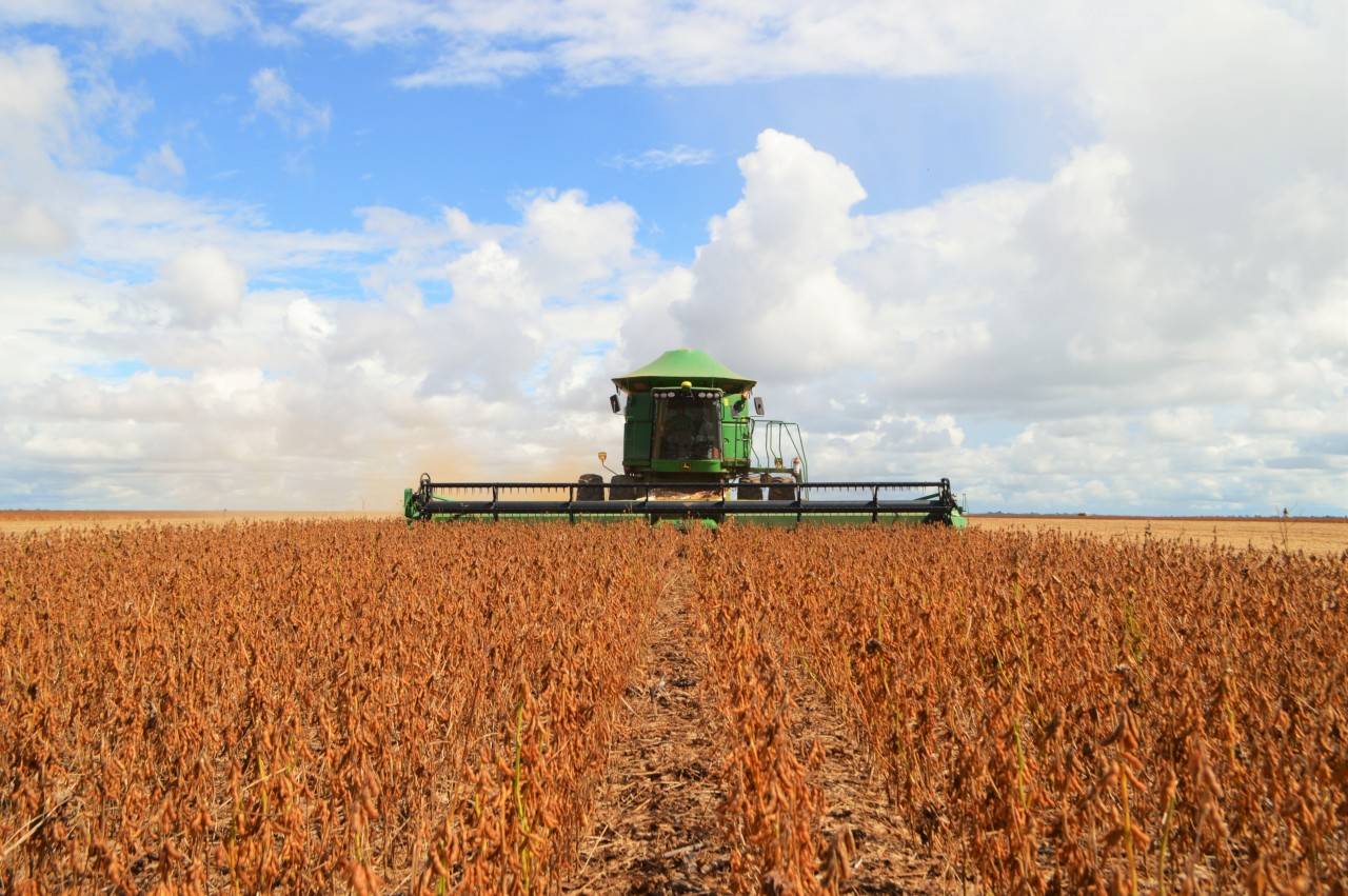 Produção de soja deverá alcançar 1,68 milhão de toneladas; produção de algodão no Estado cresce mais de 12%