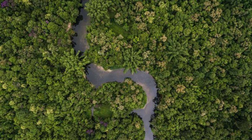Fazenda que teria sido vendida na Amazônia por empresário vilhenense a estrangeiros por R$ 250 milhões é destaque na imprensa brasileira