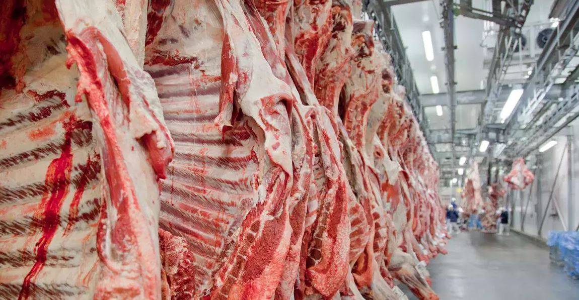 Rondônia tem quatro frigoríficos habilitados para exportar carne bovina para o México; dois deles estão instalados no Cone Sul