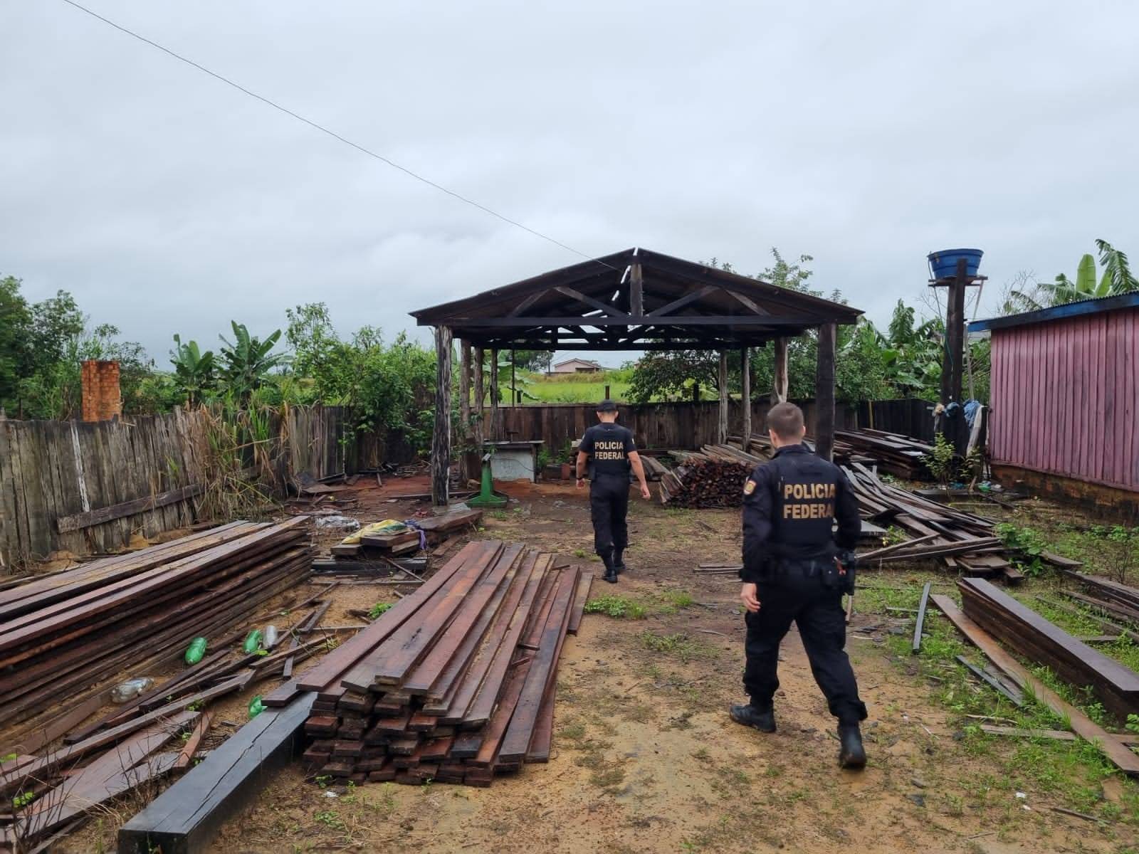 Rondônia: Polícia Federal deflagra operação contra comercialização ilegal de madeiras em Vilhena e distrito de Nova Mamoré