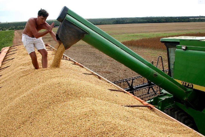 Mato Grosso tem 07 dos 10 maiores municípios produtores de soja do Brasil; Rondônia não tem nenhum na lista
