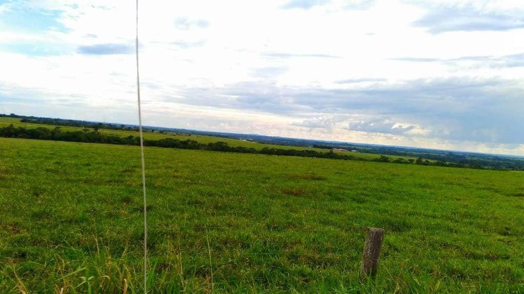 Superfazenda de 12 mil hectares a 60 km de Vilhena está sendo oferecida por R$ 300 milhões nas redes sociais