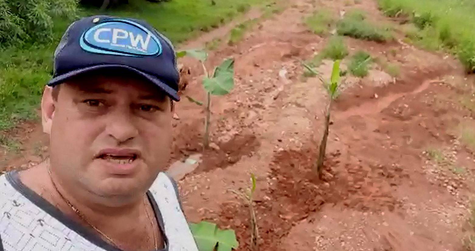 ASSISTA: viraliza vídeo gravado por servidor público e que mostra bananeiras crescendo em rua de Colorado do Oeste