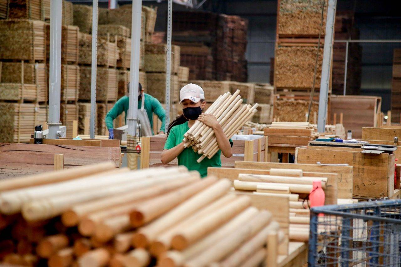Rondônia tem a 2ª menor taxa de desigualdade de renda do Brasil, segundo IBGE