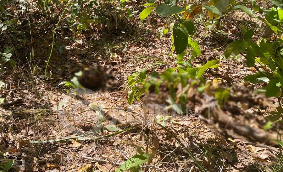 URGENTE: polícia e funerária são mobilizadas após informação de que cadáver teria sido encontrado na zona rural de Vilhena