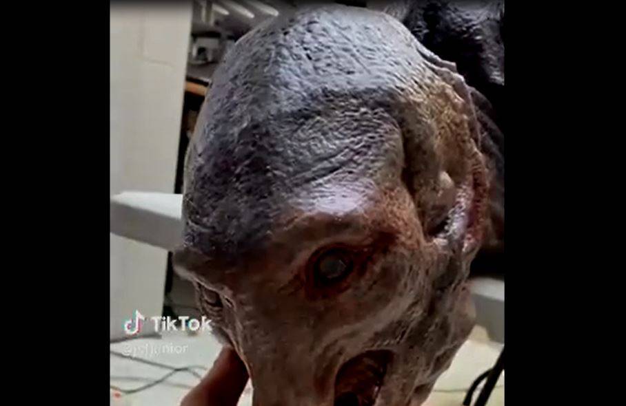 ASSISTA VÍDEOS: suposto “ET Amazônico” que teria sido encontrado em Rondônia faz sucesso em rede social, mas é “fake”