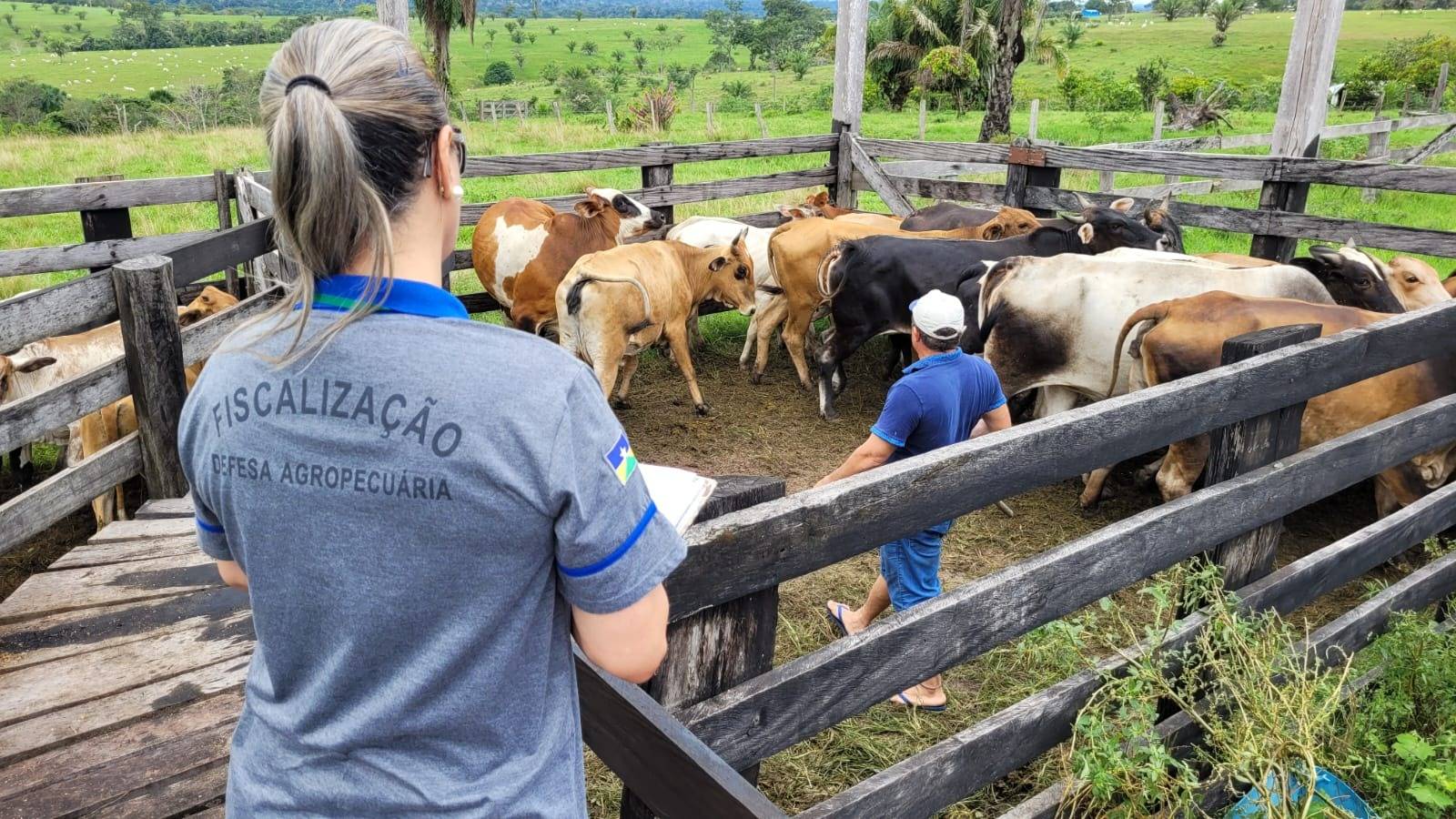 Campanha: criadores de animais em Vilhena devem declarar rebanhos na Idaron; veja prazos