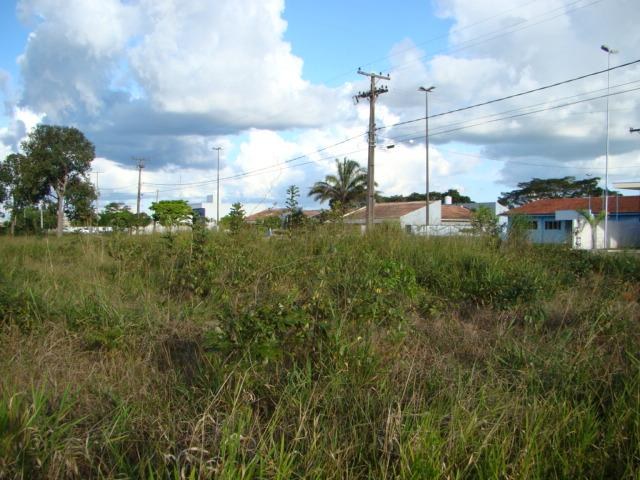Mato toma conta de área que concentra os maiores poderes da cidade