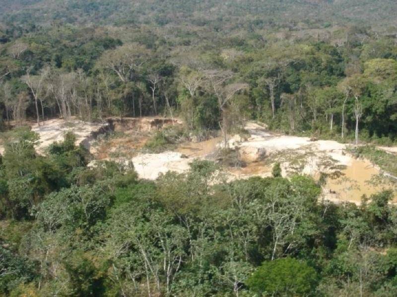 Homens que subornavam membro de etnia para extrair madeiras em Terra Indígena são presos na divisa de RO com MT