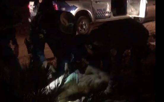 Trajando apenas cueca, homem assusta moradores de bairro, em Vilhena; Polícia Militar é acionada