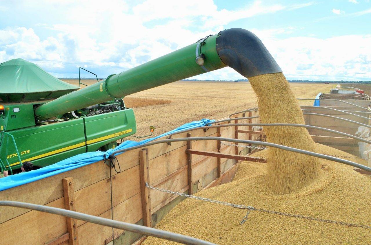 Produção de soja deve ser recorde em Rondônia, com 2 milhões de toneladas; área plantada aumentou em mais de 18%