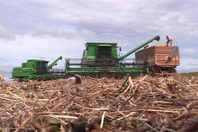 PRODUTORES DO CONE SUL PREVEEM COLAPSO NA AGROPECUÁRIA