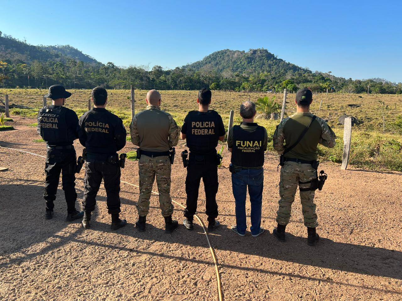 PF deflagra Operação “Rei do Gado” para combater exploração ilegal de terra indígena em Rondônia
