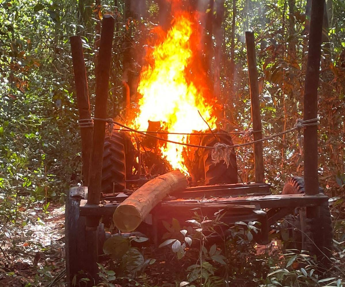 PF RO deflagra Operação Obsidium II para combater crimes ambientais em terra indígena no Cone Sul de Rondônia