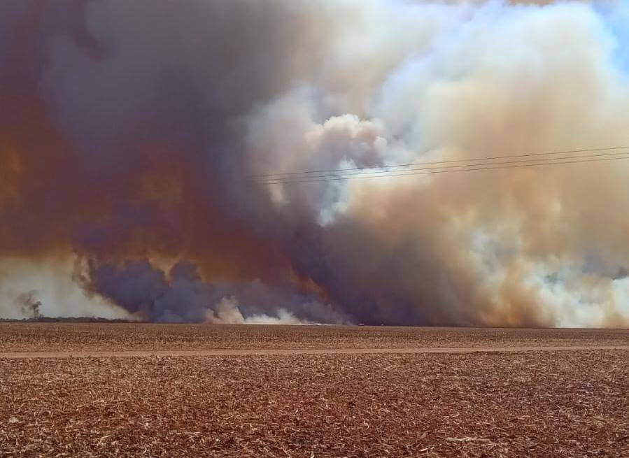 VÍDEO: fogo em fazenda viraliza no WhatsApp e rumores apontam incêndio em Cerejeiras, mas FOLHA descobre onde fato aconteceu
