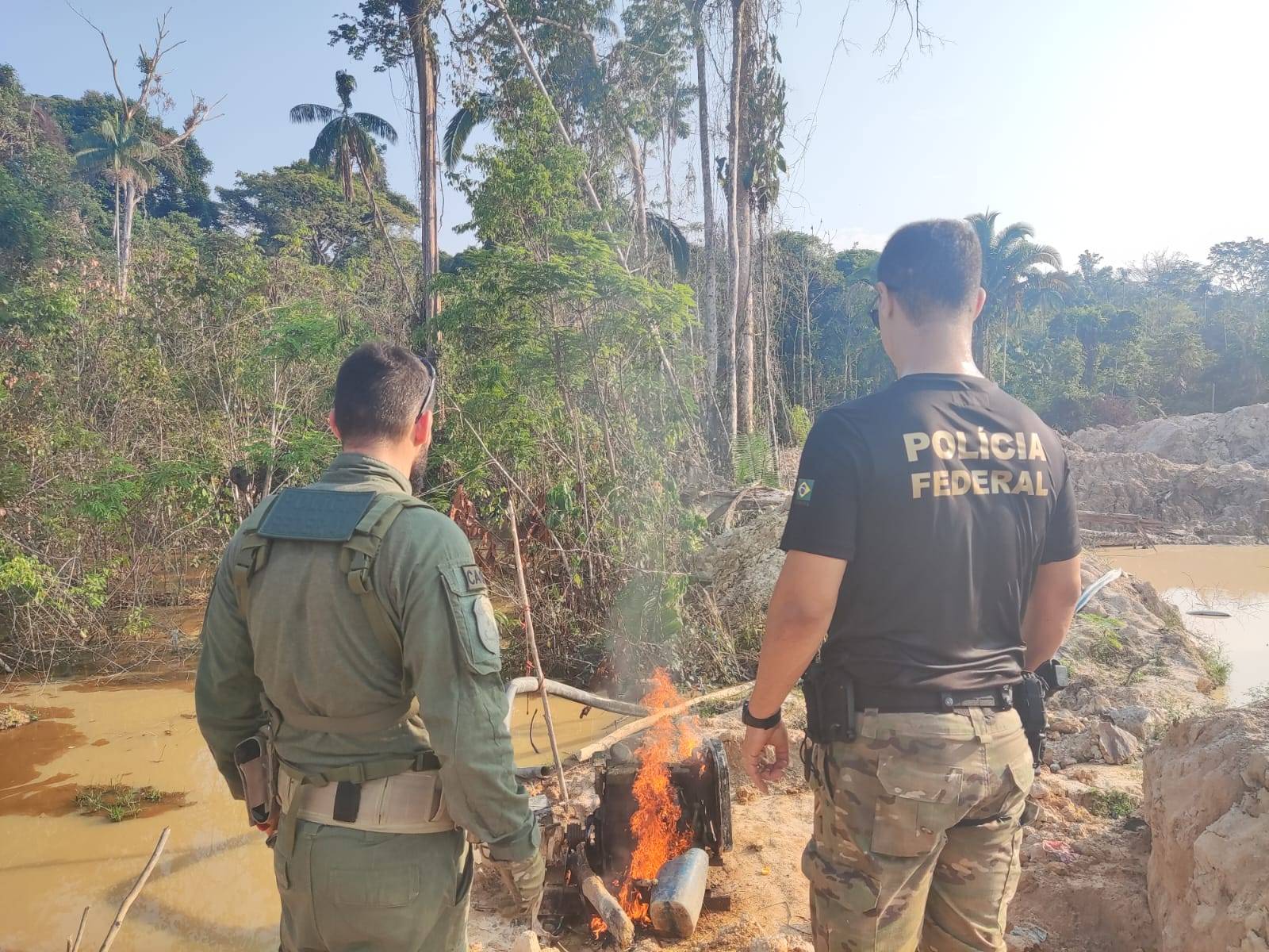 Polícia Federal deflagra operação Desintrusão II em combate a invasores de terras indígenas em Rondônia