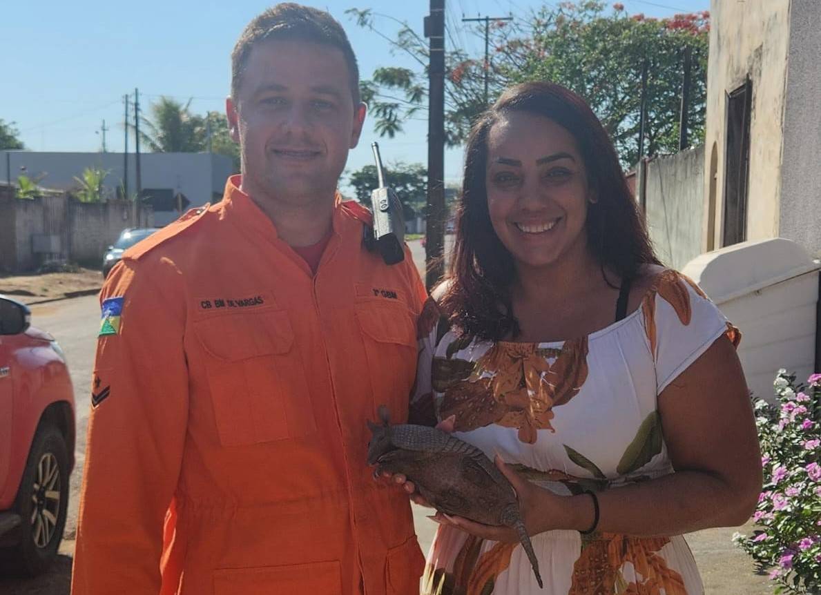 Em Vilhena, esteticista salva tatu de atropelamento, devolve animal aos Bombeiros e ignora sugestões de receitas culinárias