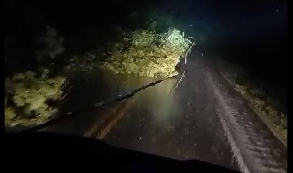 ASSISTA VÍDEO: árvores derrubadas por ventania ameaçam provocar acidentes em rodovia federal