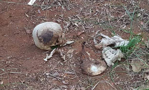 Vilhena: amarrada com corda vermelha, ossada humana é encontrada durante escavações para obras em residência