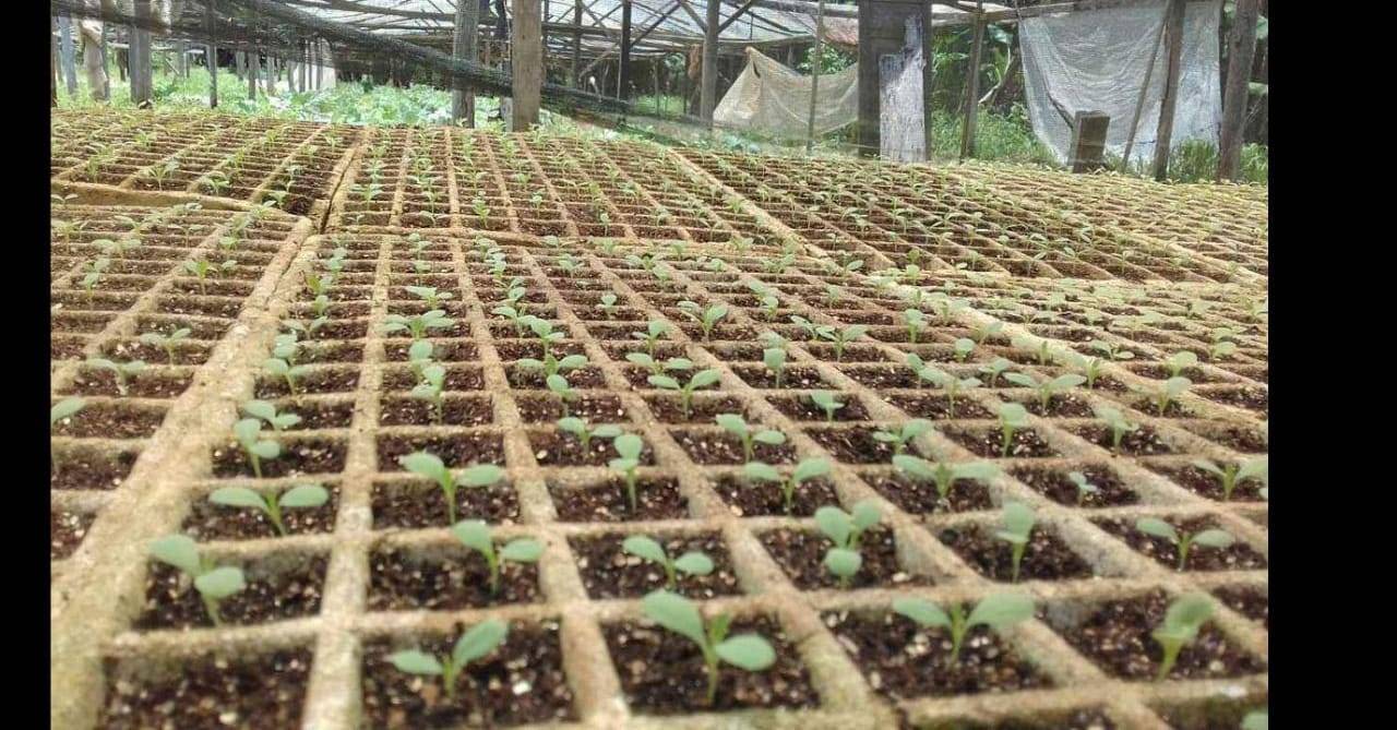 Em mais um caso de atitude extrema, agricultor de 55 anos é encontrado morto em chácara nos arredores de Vilhena