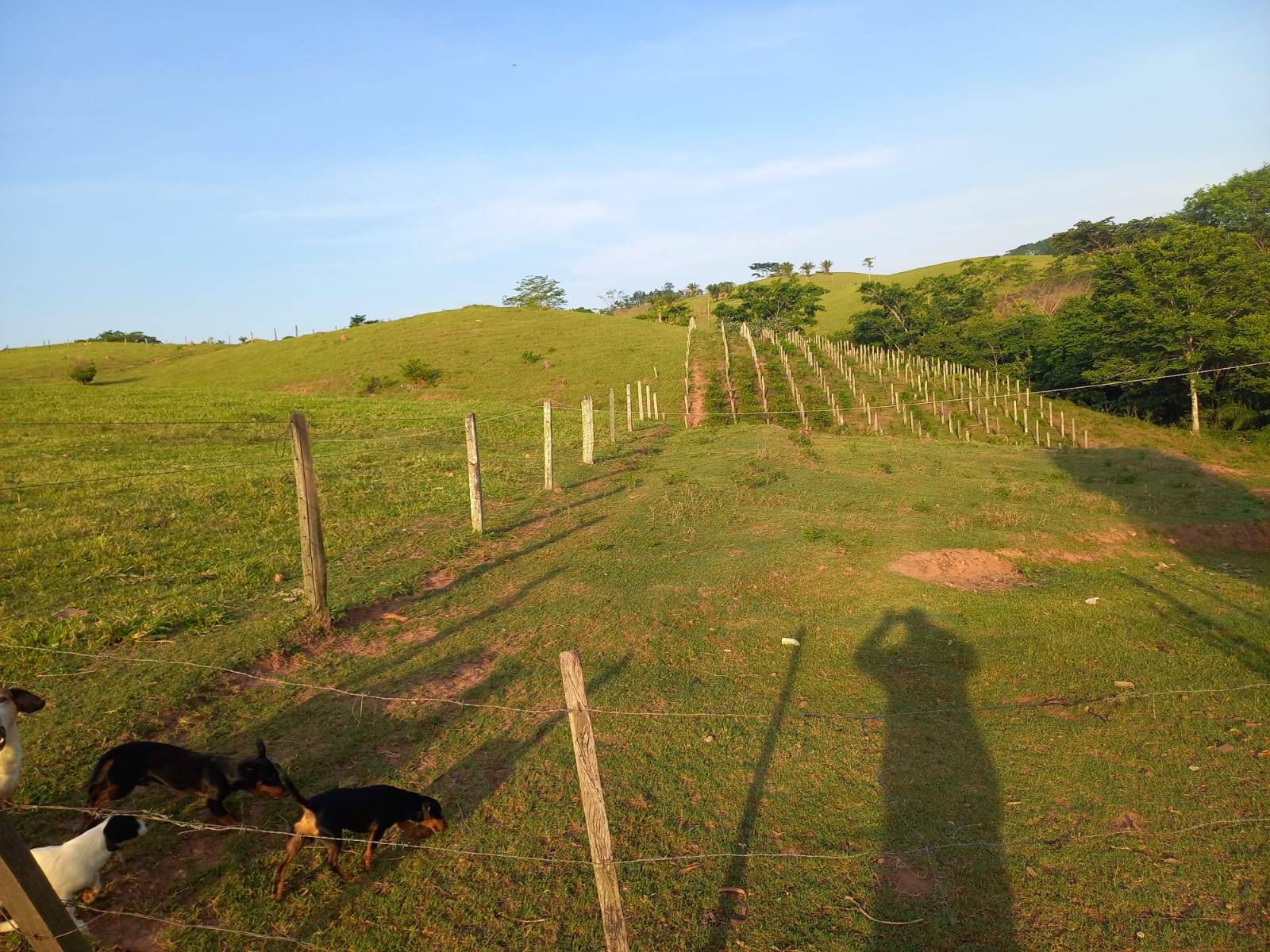 Moradores da zona rural de Cabixi sofrem com falta de energia elétrica por mais de 40 horas, criticam empresa e temem prejuízos