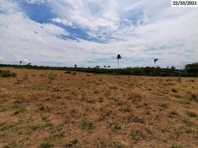 Fazenda de 105 hectares será leiloada por 60% do valor em Cerejeiras; preço anunciado chama a atenção